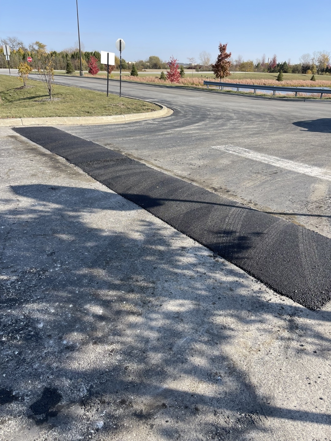 35_speed_bumps_amazon.JPG 35_speed_bumps_amazon.JPG